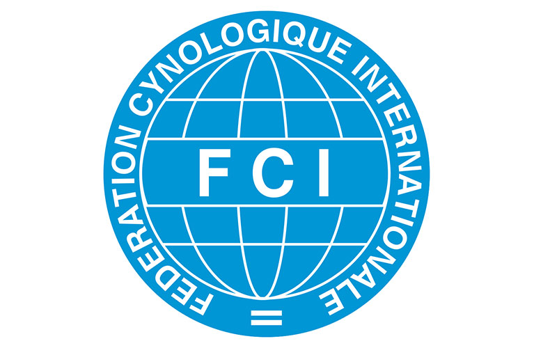 logo fci