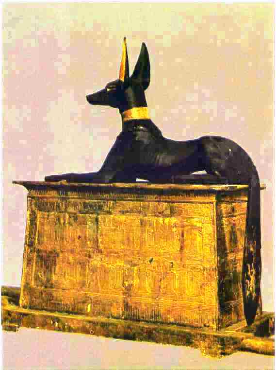 jackal anubis. The god Anubis a jackal